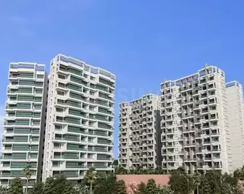 Lohia Vallonia